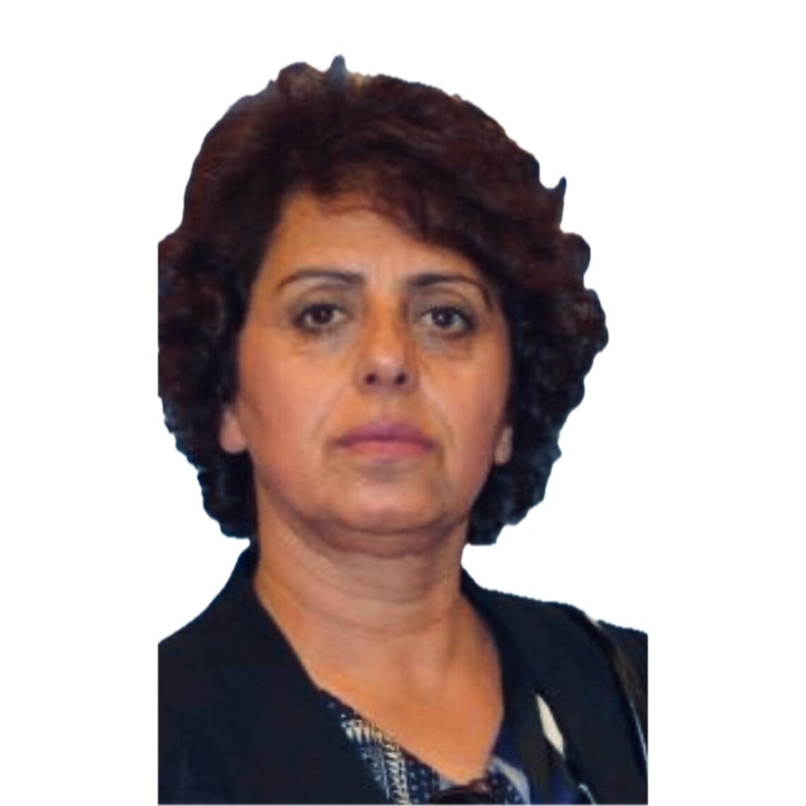 Pædagogisk konsulent