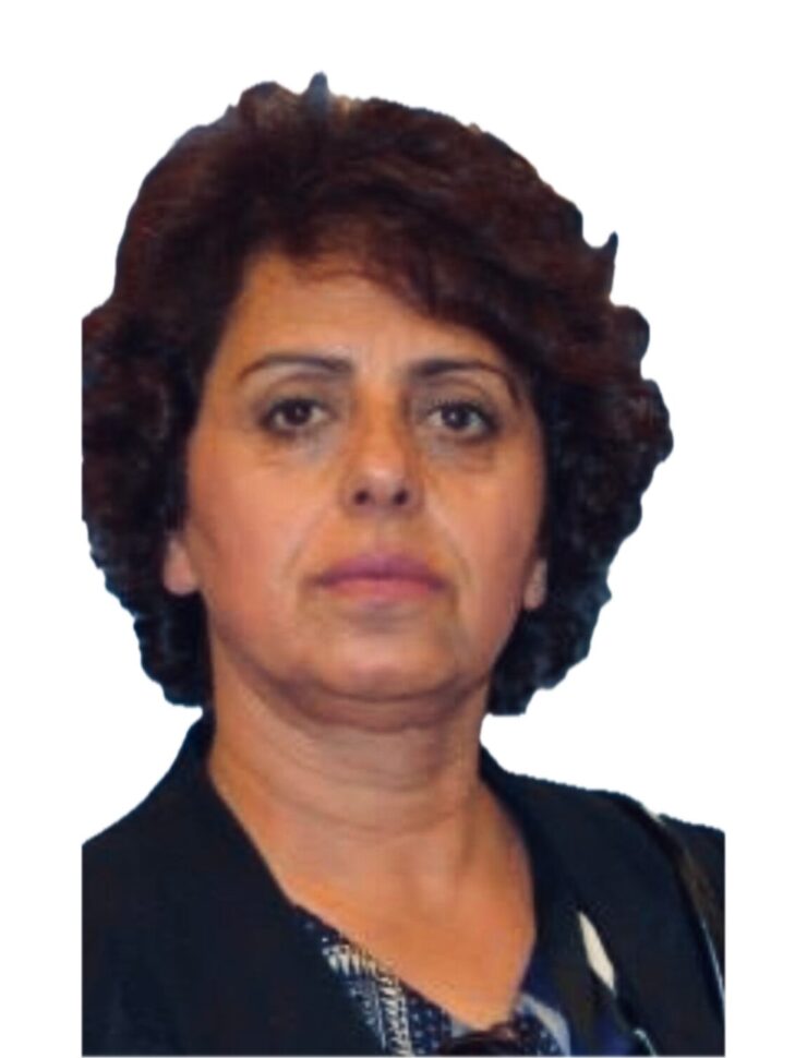 Pædagogisk konsulent