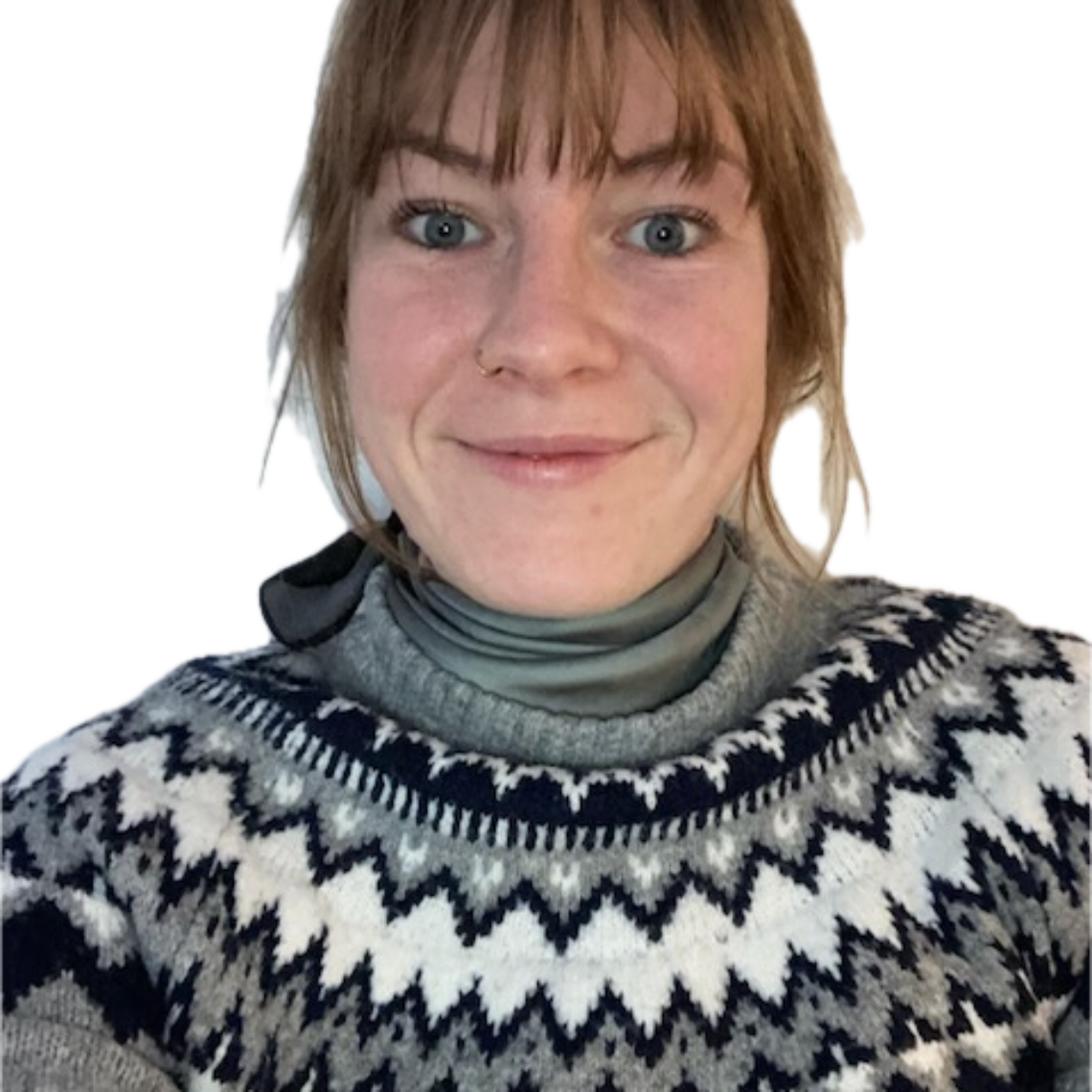 Pædagogisk konsulent