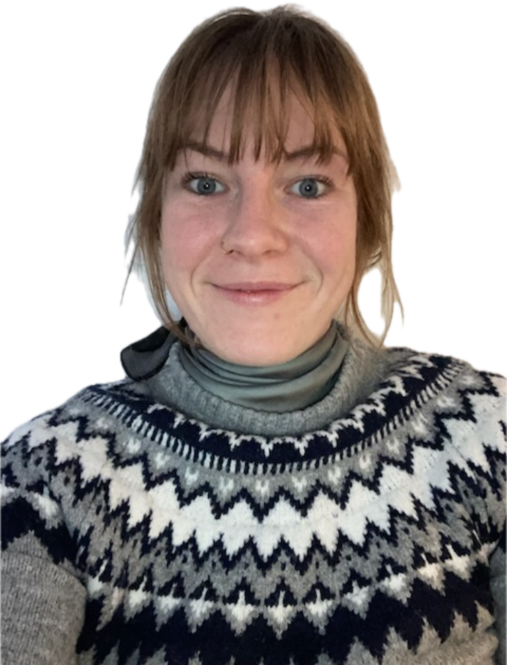 Pædagogisk konsulent
